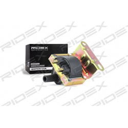 ritė, uždegimas
                                RIDEX                                689C0251, Nenurodytas gamintojas, 689C