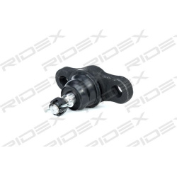 Šarnyras
                                RIDEX                                                2462S0113, Nenurodytas gaminto