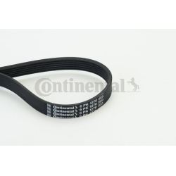 V formos rumbuoti diržai
                                CONTINENTAL CTAM                                6PK1270, CONTINENTA
