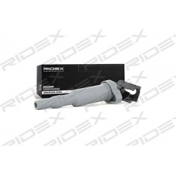 RIDEX                                                689C0147, Nenurodytas gamintojas, 689C0147, auto detalė