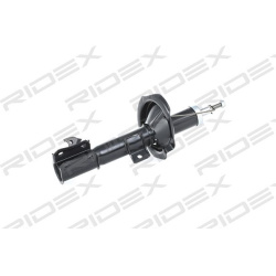 amortizatorius
                                RIDEX                                                854S0544, Nenurodytas gam