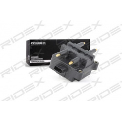 ritė, uždegimas
                                RIDEX                                                689C0069, Nenurodytas 