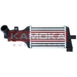 tarpinis suslėgto oro aušintuvas, kompresorius
                                KAMOKA                                      