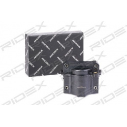 ritė, uždegimas
                                RIDEX                                                689C0135, Nenurodytas 