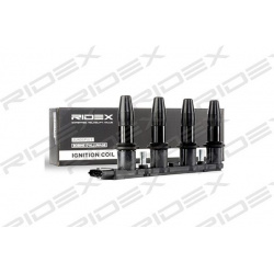 ritė, uždegimas
                                RIDEX                                689C0027, Nenurodytas gamintojas, 689C