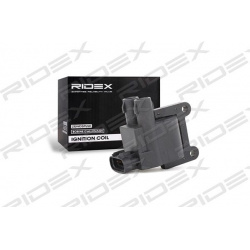 ritė, uždegimas
                                RIDEX                                                689C0121, Nenurodytas 