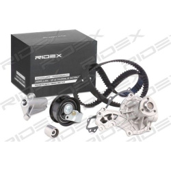 vandens siurblio ir paskirstymo diržo komplektas
                                RIDEX                                      