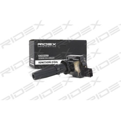 ritė, uždegimas
                                RIDEX                                                689C0058, Nenurodytas 