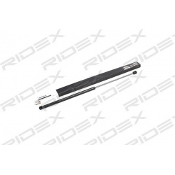 dujinė spyruoklė, gaubtas
                                RIDEX                                                514G0112, Ne