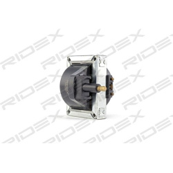 ritė, uždegimas
                                RIDEX                                                689C0087, Nenurodytas 