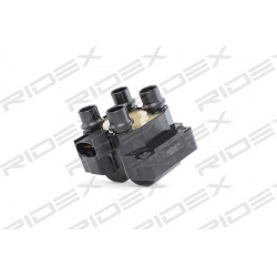 ritė, uždegimas
                                RIDEX                                                689C0041, Nenurodytas 
