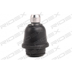 Šarnyras
                                RIDEX                                2462S0053, Nenurodytas gamintojas, 2462S0053, 