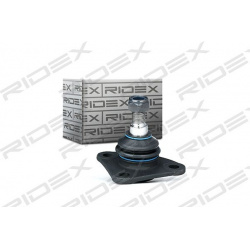 Šarnyras
                                RIDEX                                2462S0091, Nenurodytas gamintojas, 2462S0091, 