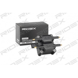 ritė, uždegimas
                                RIDEX                                                689C0240, Nenurodytas 