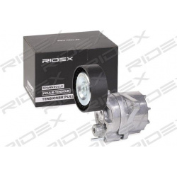 RIDEX                                                541V0031, Nenurodytas gamintojas, 541V0031, auto detalė