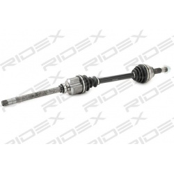 pusašis
                                RIDEX                                                13D0195, Nenurodytas gamintojas