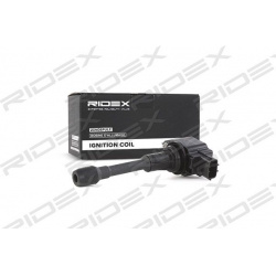 ritė, uždegimas
                                RIDEX                                                689C0062, Nenurodytas 