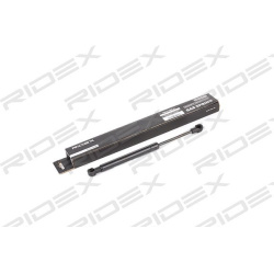 dujinė spyruoklė, gaubtas
                                RIDEX                                                514G0019, Ne