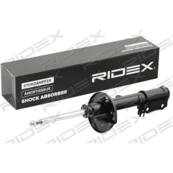 amortizatorius
                                RIDEX                                                854S0766, Nenurodytas gam