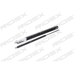 Dujinė spyruoklė, bagažinė
                                RIDEX                                                219G0149,