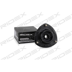 pakabos statramsčio atraminis guolis
RIDEX 11