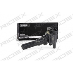ritė, uždegimas
                                RIDEX                                                689C0049, Nenurodytas 