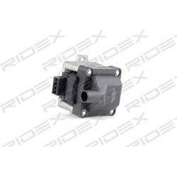 ritė, uždegimas
                                RIDEX                                                689C0013, Nenurodytas 