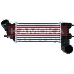 tarpinis suslėgto oro aušintuvas, kompresorius
                                KAMOKA                                      