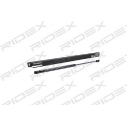 dujinė spyruoklė, bagažinė
                                RIDEX                                                219G0069,