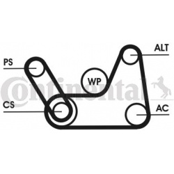 V formos rumbuotas diržas, komplektas
                                CONTINENTAL CTAM                                      