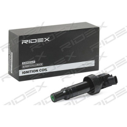 ritė, uždegimas
                                RIDEX                                                689C0344, Nenurodytas 