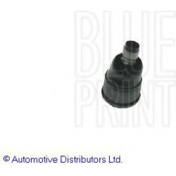 Šarnyras
BLUE PRINT ADG08691, BLUE PRINT, ADG