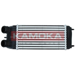 tarpinis suslėgto oro aušintuvas, kompresorius
                                KAMOKA                                      