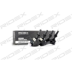ritė, uždegimas
                                RIDEX                                                689C0076, Nenurodytas 