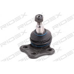 Šarnyras
                                RIDEX                                                2462S0254, Nenurodytas gaminto