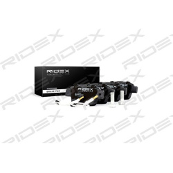 stabdžių trinkelių rinkinys, diskinis stabdys
                                RIDEX                                       