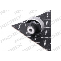 sailentblokas
                                RIDEX                                                251T0153, Nenurodytas gami