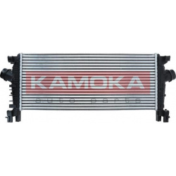 tarpinis suslėgto oro aušintuvas, kompresorius
                                KAMOKA                                775005