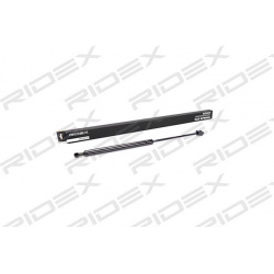 dujinė spyruoklė, bagažinė
                                RIDEX                                                219G0043,