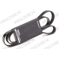 RIDEX                                                305P0171, Nenurodytas gamintojas, 305P0171, auto detalė