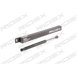 dujinė spyruoklė, bagažinė
                                RIDEX                                                219G0893,