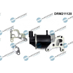 ERG vožtuvas
                                Dr.Motor Automotive                                                DRM211120, D