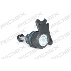 Šarnyras
                                RIDEX                                                2462S0078, Nenurodytas gaminto