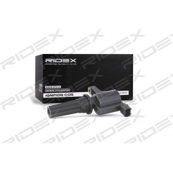 ritė, uždegimas
                                RIDEX                                                689C0056, Nenurodytas 