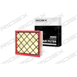 oro filtras
                                RIDEX                                                8A0254, Nenurodytas gamintoj