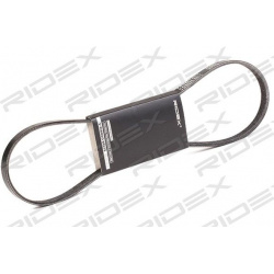 V formos rumbuoti diržai
                                RIDEX                                                305P0293, Nenu