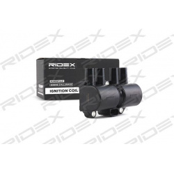 ritė, uždegimas
                                RIDEX                                                689C0046, Nenurodytas 