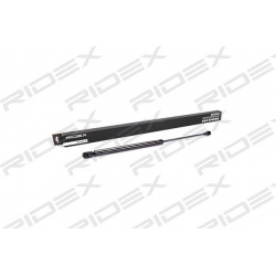 dujinė spyruoklė, bagažinė
                                RIDEX                                                219G0158,
