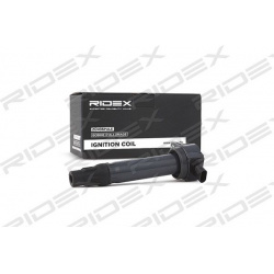 ritė, uždegimas
RIDEX 689C0169, Nenurodytas