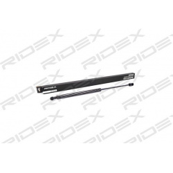 dujinė spyruoklė, bagažinė
                                RIDEX                                                219G0095,